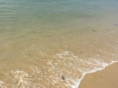 -玫瑰海岸文化旅游度假区
