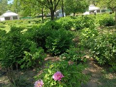 -承德避暑山庄景区