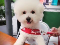 -香奈儿嘉柏丽尔香水展