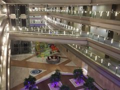 -南京禄口机场雅高铂尔曼大酒店