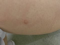 -广州粤海喜来登酒店