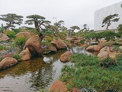 -罗红摄影艺术馆