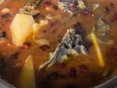 -东山羊庄(八卦岭店)