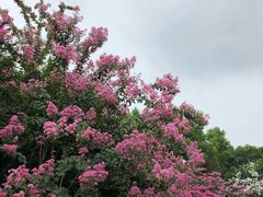 -杭州城北体育公园