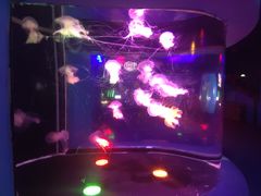 -太平洋海底世界