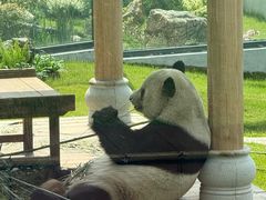 -无锡动物园·太湖欢乐园