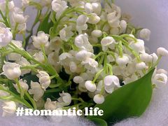 -花邻FloweringLife花艺气球派对(武康大楼店)