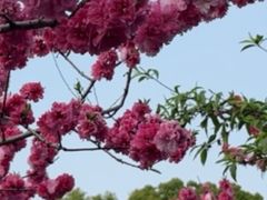 -圩墩遗址公园