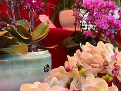 -越秀西湖花市(广州城市广场花卉店)