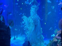 -沈阳海洋探索中心