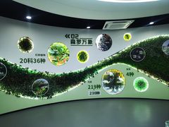 -东寨港红树林旅游区