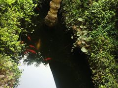 留荫庐-留荫庐旅馆