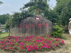 -鹅湖玫瑰文化园