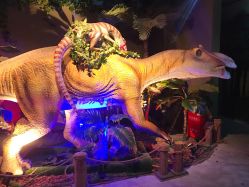 -恐龙探索乐园(磁器口店)