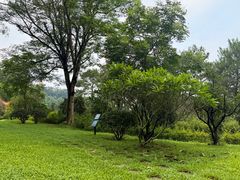 -白云山风景名胜区