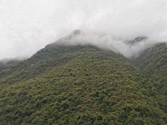 -神农溪纤夫文化旅游区