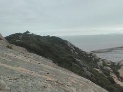-洋山深水港