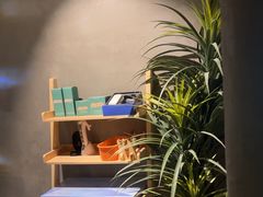 -施奈儿.洗头頭療.按摩SPA.采耳(上梅林店)