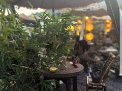 -伴山茶苑·围炉煮茶