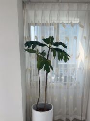 点击看大图 -HEYAN荷妍专业脱毛连锁机构