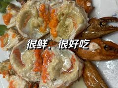 -金砂阿洲鱼册店