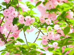 -江苏省扬州旅游商贸学校