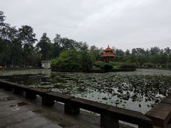 -四川大学(望江校区)