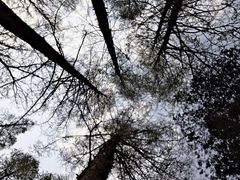 -白水寺森林公园