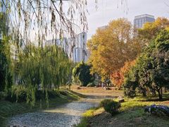 -堤角公园