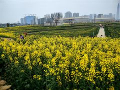 -三圣花乡旅游区