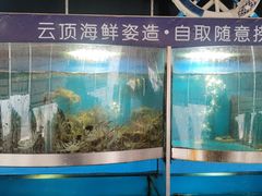 -云顶旋转自助景观餐厅