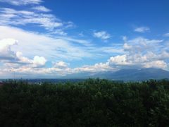 -富田农场