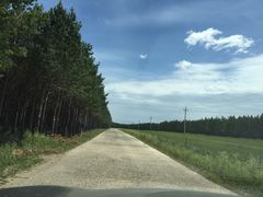 -塞罕坝国家级自然保护区