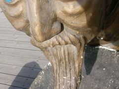 android_upload_pic-泰山花样年华景区