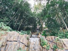 -广州市流溪河国家森林公园