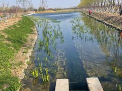 -永定河休闲森林公园