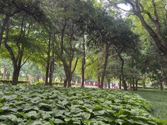 -玲珑塔公园