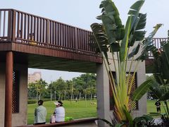 -宝安西湾红树林湿地公园