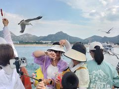 -海驴岛(荣成市)