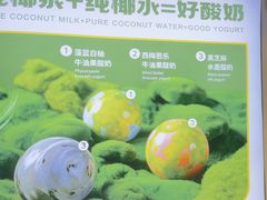 -吴山山·椰子酸奶(天河南店)