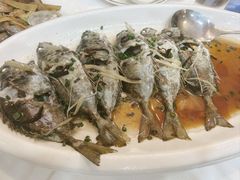 -阳江餐厅·30年老字号·粤菜海鲜大排档