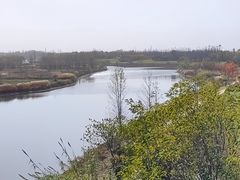 -诗经里