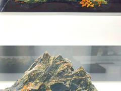 -上海市普陀区文化馆