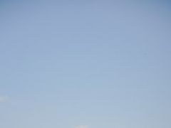 -大丰收·炭火鸡(三墩店)