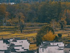 -塔川景区