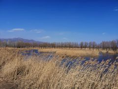 -野鸭湖国家湿地公园