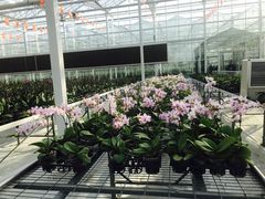 -兰陵国家农业公园