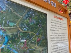 -缙云山景区