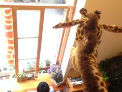 iphone_upload_pic-长颈鹿咖啡(大学路店)