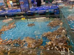 -宝燕海货工场(长江国际店)